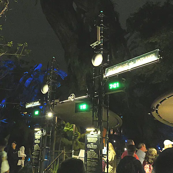 Flight of Passage at Animal Kingdom is an Individual Lightning Lane ride at Disney World