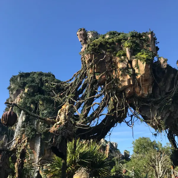 Pandora the World of Avatar at Disney's Animal Kingdom