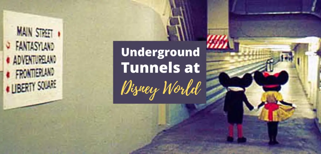 Underground Tunnels at Disney World