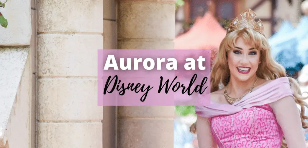 Aurora at Disney World