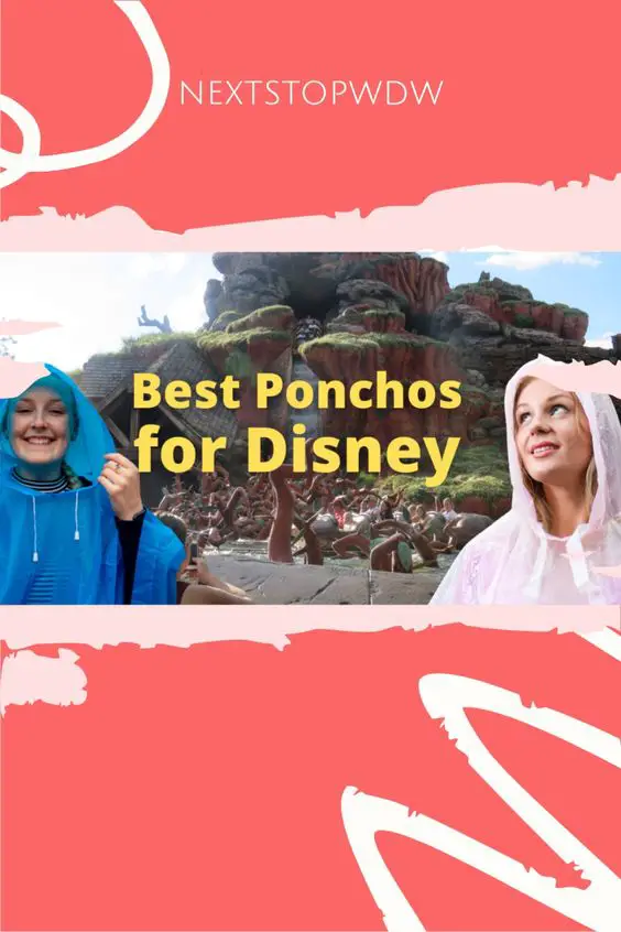 Best ponchos for Disney World Pin