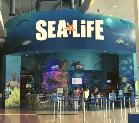 Sea Life Aquarium - My Essential List of Aquariums in Florida