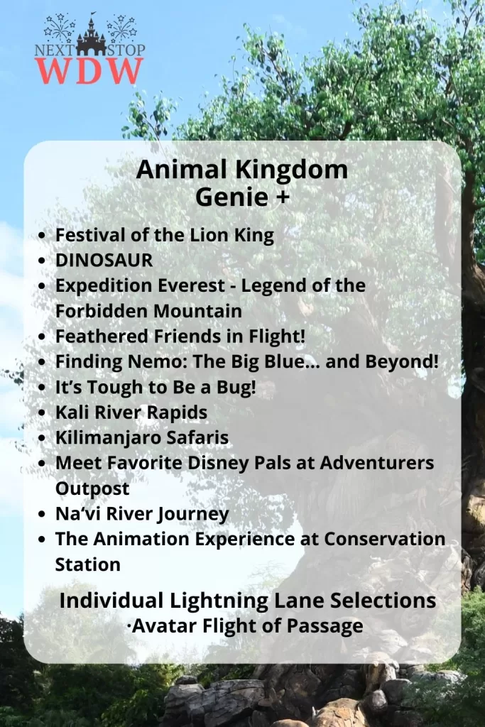 Animal Kingdom Genie Plus Rides including Avatar Rides