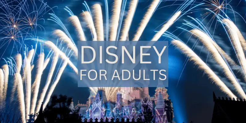 DISNEY FOR ADULTS