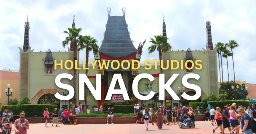 Best Hollywood Studios Snacks