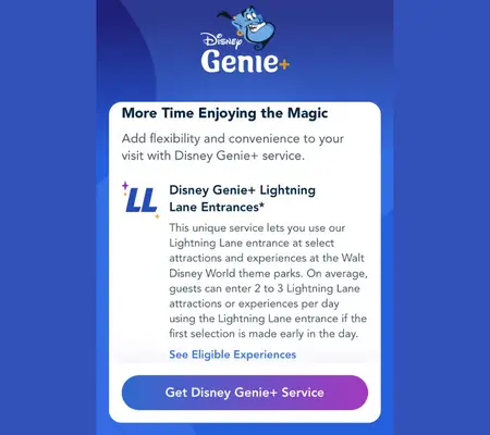 Disney Genie+ Lightning Lane information