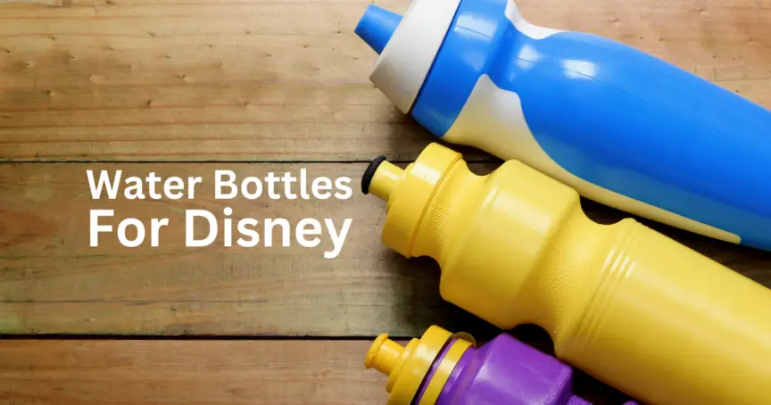 Water Bottles for Disney