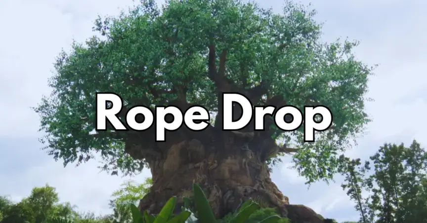Animal Kingdom Rope Drop